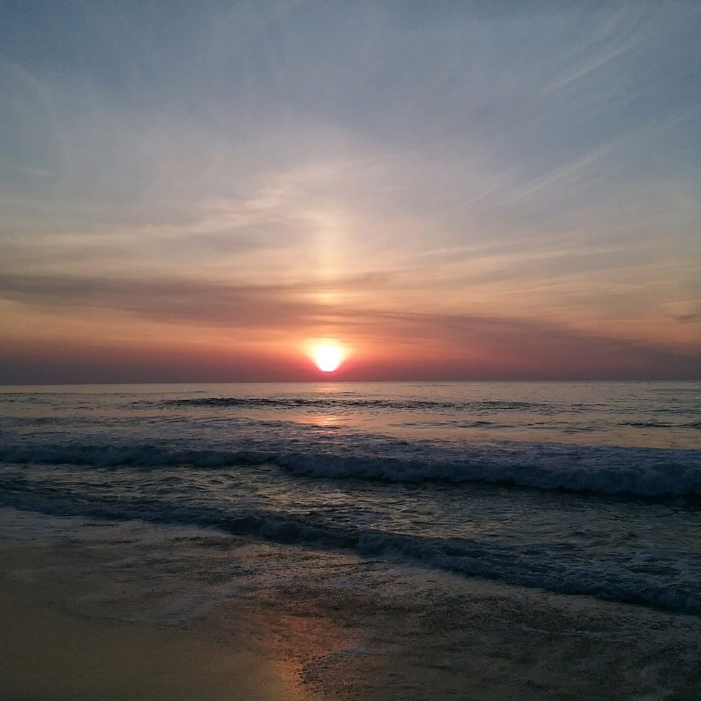 Meet your Posher, Caitlin